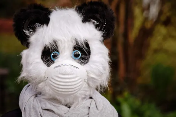 Casino Hot Line Tugi